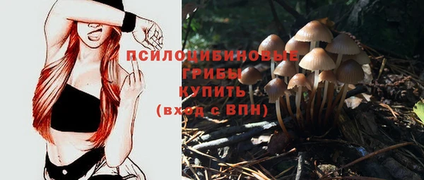 синтетический гашиш Беломорск